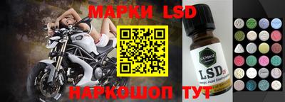гашик Аргун