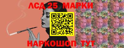 гашик Аргун