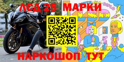 гашик Аргун