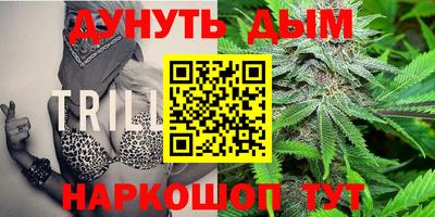гидропоника Гагарин