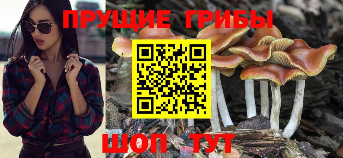 что такое   Псилоцибиновые грибы MAGIC MUSHROOMS  Вход с VPN  Барнаул 